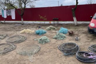 16 perchezitii efectuate de politistii serviciului siguranta transporturi la persoane care au comis infractiuni la regimul piscicol 67f140c8ca4f2