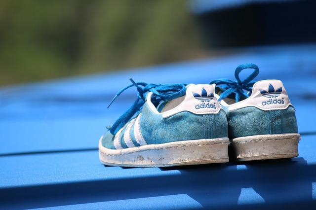 adidas avertizeaza ca va creste preturile tuturor produselor din sua din cauza tarifelor vamale 6811c9b296633