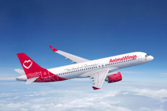 animawings lanseaza doua noi rute din bucuresti 67fe66dfbf41e