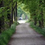 cel mai mare proiect rutier din valcea 80 de milioane de euro pentru modernizarea unui drum strategic 68120cf6b820e