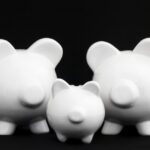 conpet distribuie 3 dividende cat ajunge la stat si cati bani iau fondatorii dedeman 6810f50076682