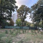 consilierii locali vor aproba amenajarea unei parcari vizavi de parcul tabacarie pe locul unde urma sa se construiasca un bloc cu zece etaje 680abe66908d9