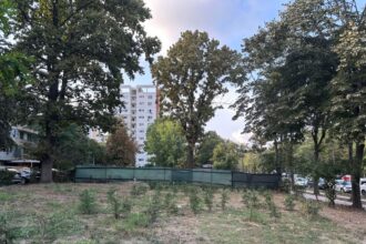 consilierii locali vor aproba amenajarea unei parcari vizavi de parcul tabacarie pe locul unde urma sa se construiasca un bloc cu zece etaje 680abe66908d9