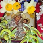 constanta procesiune de florii la catedrala arhiepiscopala sfintii apostoli petru si pavel cu ramuri de salcie si flori vezi aici programul zilei 67fa94dd8bb5f