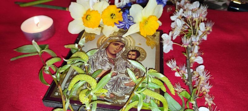 constanta procesiune de florii la catedrala arhiepiscopala sfintii apostoli petru si pavel cu ramuri de salcie si flori vezi aici programul zilei 67fa94dd8bb5f