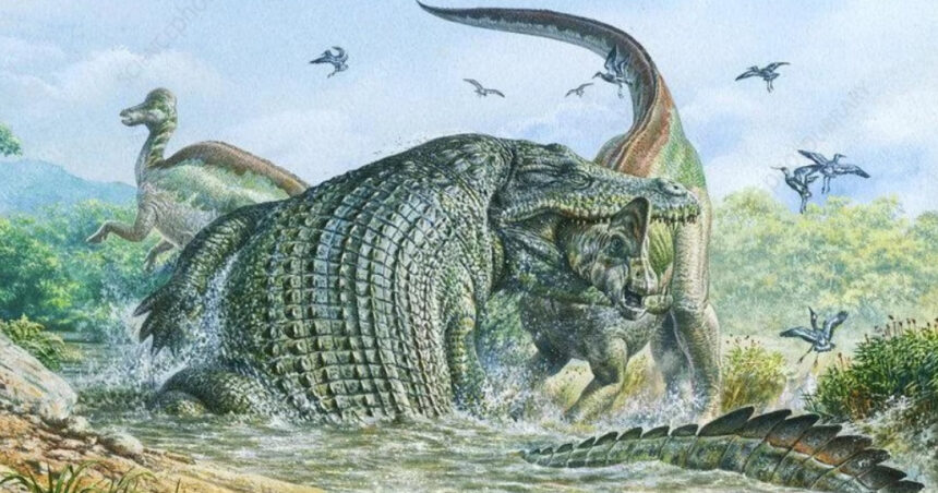 cum a ajuns crocodilul teribil un urias mancator de dinozauri vorbim despre un animal absolut monstruos studiu 680ea15351734