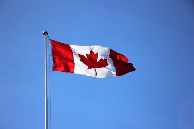 donald trump ameninta cu majorarea tarifului de 25 pentru masinile produse in canada 680b4acd96454