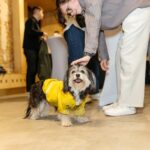 exclusiv liderul ucrainei la hrana de animale explica de ce ia in calcul romania pentru o noua fabrica 67edbfc023452
