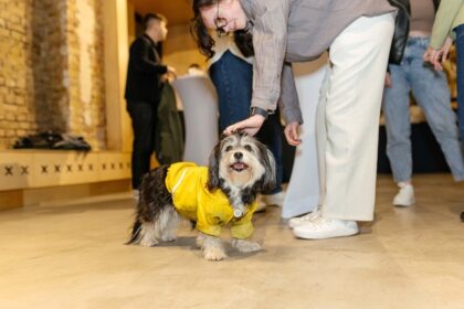 exclusiv liderul ucrainei la hrana de animale explica de ce ia in calcul romania pentru o noua fabrica 67edbfc023452