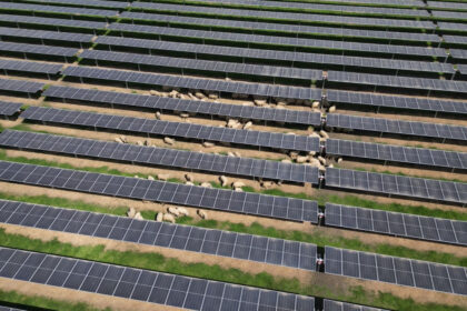 foto a fost finalizat cel mai mare parc fotovoltaic finantat prin pnrr de ministerul energiei 6811081938c2c
