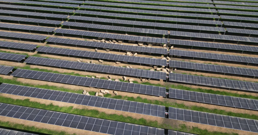 foto a fost finalizat cel mai mare parc fotovoltaic finantat prin pnrr de ministerul energiei 6811081938c2c