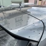 foto invazie de muste in constanta iata explicatia biologului adrian bilba 67f65849c9244