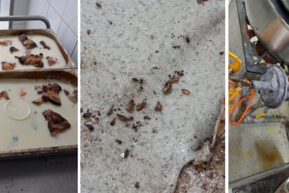 foto rugina mucegai si gandaci la restaurantul sofra din constanta a fost oprita activitatea 67f691308d93b