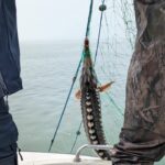 foto video pescador cu 2 tone de peste braconat prins langa mangalia 6809f2b24d77c