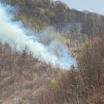 incendiul de padure din arges a fost stins dupa cinci zile in care pompierii s au luptat cu flacarile 6807f33a69474