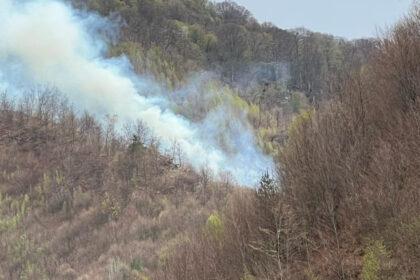 incendiul de padure din arges a fost stins dupa cinci zile in care pompierii s au luptat cu flacarile 6807f33a69474