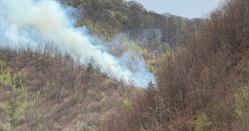 incendiul de padure din arges a fost stins dupa cinci zile in care pompierii s au luptat cu flacarile 6807f33a69474