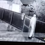 incident socant in judetul tulcea un barbat a intrat in curtea vecinilor si le a omorat cateii 68076c5755335