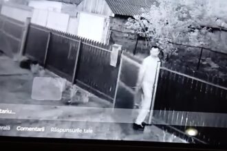incident socant in judetul tulcea un barbat a intrat in curtea vecinilor si le a omorat cateii 68076c5755335