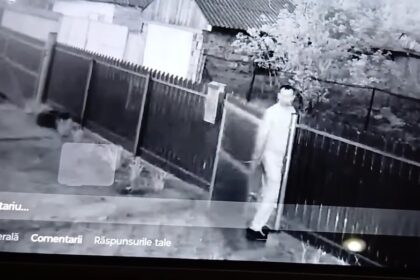 incident socant in judetul tulcea un barbat a intrat in curtea vecinilor si le a omorat cateii 68076c5755335