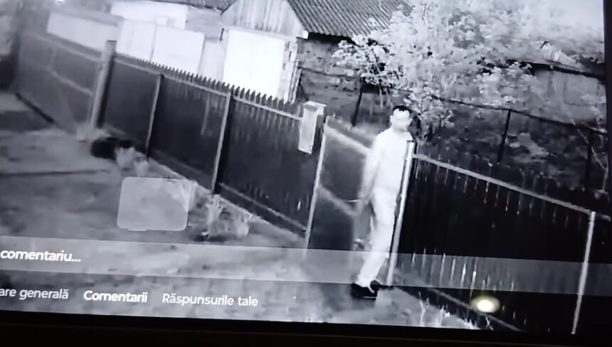 incident socant in judetul tulcea un barbat a intrat in curtea vecinilor si le a omorat cateii 68076c5755335