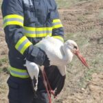 interventie mai putin obisnuita a pompierilor constanteni 67fa5484b377e