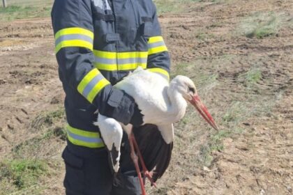 interventie mai putin obisnuita a pompierilor constanteni 67fa5484b377e