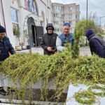 lucruri mai putin cunoscute despre salcie simbolul floriilor ce trebuie sa facem cu ramurile uscate 67fb7597cb443