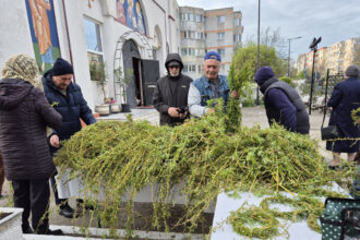 lucruri mai putin cunoscute despre salcie simbolul floriilor ce trebuie sa facem cu ramurile uscate 67fb7597cb443