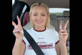 motivul pentru care fanii au pus o la zid pe alexandra stan ce a facut vedeta pe autostrada nu stiam 67ffb213d66b0