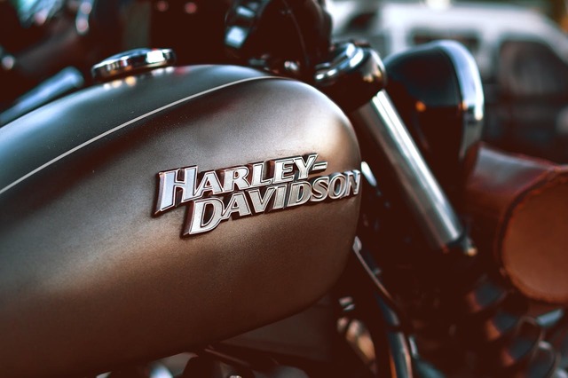 motociclistii francezi se grabesc sa cumpere harley davidson 67fb916c88f3f
