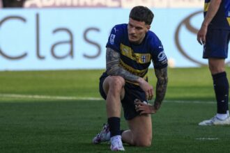 news alert dennis man e dorit de o alta echipa din serie a 6804cff43f757