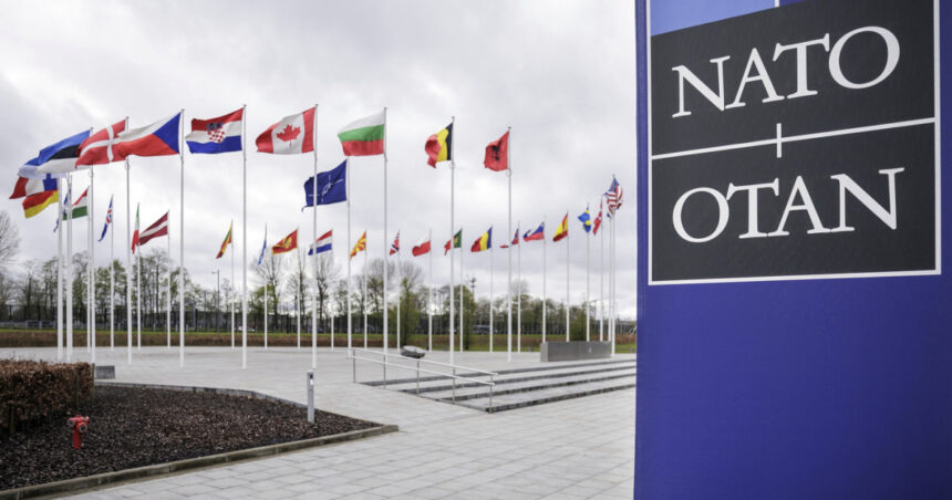 oficialii nato isi ajusteaza limbajul legat de clima gen si diversitate pentru a face pe plac administratiei trump politico 68032280b7c2e
