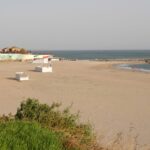 patronii restaurantului reyna au depus contestatie dupa ce au pierdut plaja asteptam cu incredere raspunsul autoritatilor consideram ca a fost o eroare in evaluarea ofertelor 68022300e6ac6