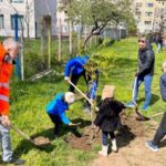 peste 300 de arbori vor fi plantati la constanta 67f79b9b1e66d