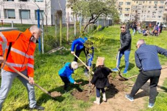 peste 300 de arbori vor fi plantati la constanta 67f79b9b1e66d