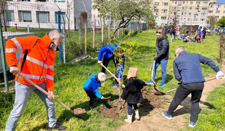 peste 300 de arbori vor fi plantati la constanta 67f79b9b1e66d