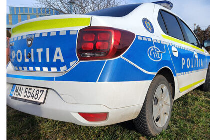 politistii din tulcea intervin in cazul socant de la luncavita unde doi caini de companie au fost ucisi 68077dbf8c18f