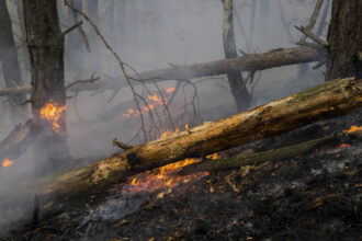 pompierii din arges incearca sa stinga un incendiu de padure extins pe aproape 30 000 mp vantul puternic ingreuneaza interventia 680233d836fc8