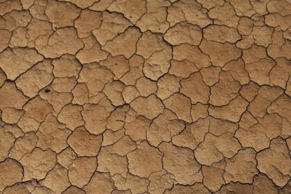 seceta severa care afecteaza continentul european in special europa centrala si de est dar si gestionarea defectuoasa a resurselor de apa ameninta semnificativ culturile agricole si lanturile de ap 67ff9149d1b3e