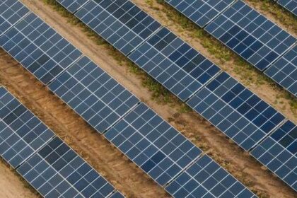 simtel contracteaza doua finantari in valoare totala de 28 de milioane de euro de la banca transilvania pentru finalizarea parcului fotovoltaic de la giurgiu 68036243a006b