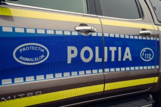 surpriza in cazul barbatului din tulcea acuzat ca ar fi omorat cainii vecinei ce se intampla cu dosarul care a facut inconjurul tarii 680c4f3e29087