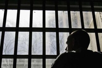 traficant de droguri din navodari condamnat la o pedeapsa cu inchisoarea si a recunoscut faptele dar tot nu a scapat de detentie 67fee573449c8