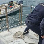 trei barbati prinsi de politisti cu 350 kg de peste capturat ilegal 67f6abac66d81