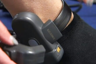 tulceanul acuzat ca a omorat cateii vecinei ramane in arest la domiciliu este obligat sa poarte bratara de monitorizare 68123d84339cc