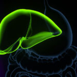 un medicament ar putea elimina necesitatea transplantului hepatic in afectiuni ale cailor biliare 680d55c6f33d8