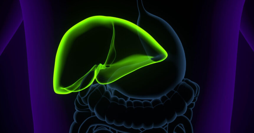 un medicament ar putea elimina necesitatea transplantului hepatic in afectiuni ale cailor biliare 680d55c6f33d8