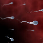 video concurs inedit organizat de adolescenti din los angeles care vor sa atraga atentia asupra problemelor de fertilitate masculina 680f02b74996a