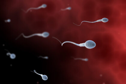 video concurs inedit organizat de adolescenti din los angeles care vor sa atraga atentia asupra problemelor de fertilitate masculina 680f02b74996a