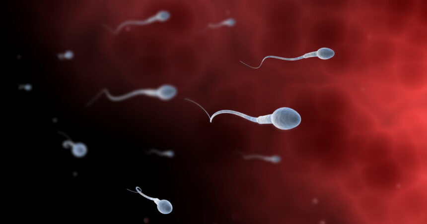 video concurs inedit organizat de adolescenti din los angeles care vor sa atraga atentia asupra problemelor de fertilitate masculina 680f02b74996a